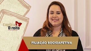 Explica Direito Filiação Socioafetiva  2019 [upl. by Sirej]