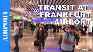 TRANSIT WALK AT FRANKFURT Airport FRA Terminal 1  Connection Flight Transfer Arriving amp Departing [upl. by Akeem]